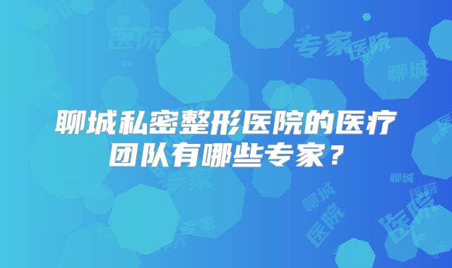 聊城私密整形医院的医疗团队有哪些专家？