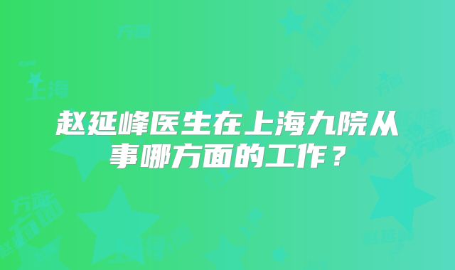赵延峰医生在上海九院从事哪方面的工作？