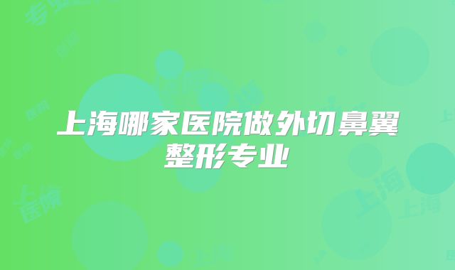 上海哪家医院做外切鼻翼整形专业