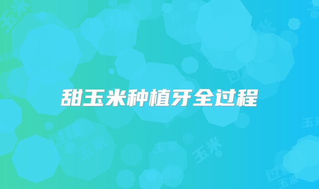 甜玉米种植牙全过程