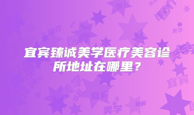 宜宾臻诚美学医疗美容诊所地址在哪里？
