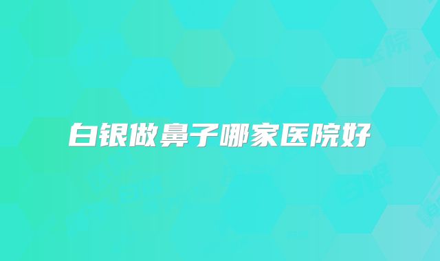 白银做鼻子哪家医院好