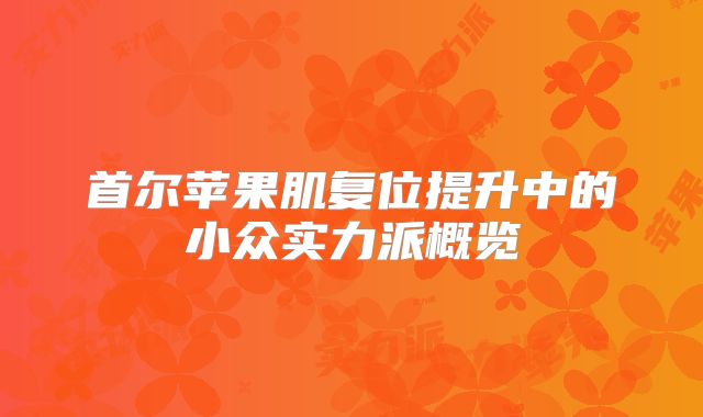首尔苹果肌复位提升中的小众实力派概览