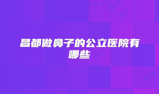 昌都做鼻子的公立医院有哪些