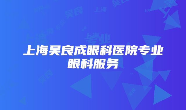 上海吴良成眼科医院专业眼科服务