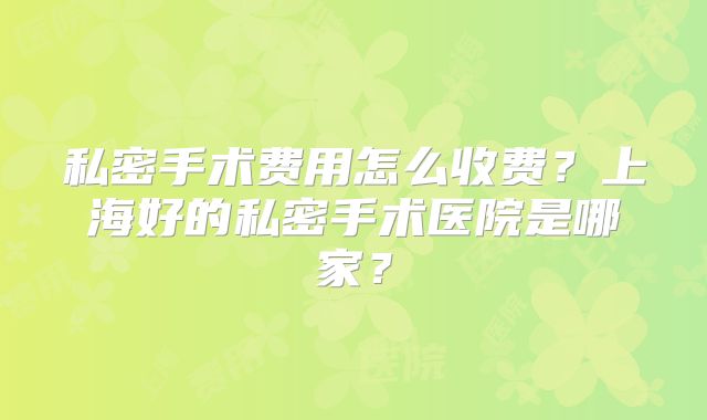 私密手术费用怎么收费？上海好的私密手术医院是哪家？