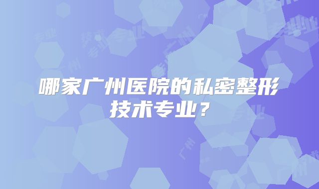 哪家广州医院的私密整形技术专业？
