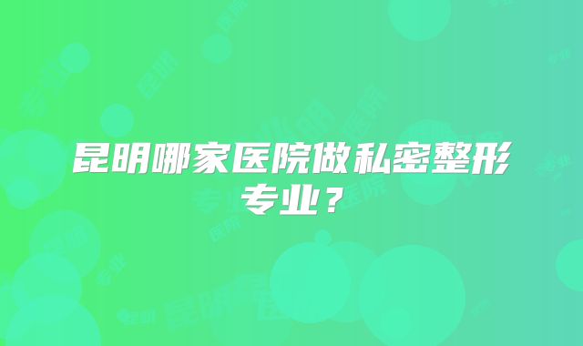 昆明哪家医院做私密整形专业？