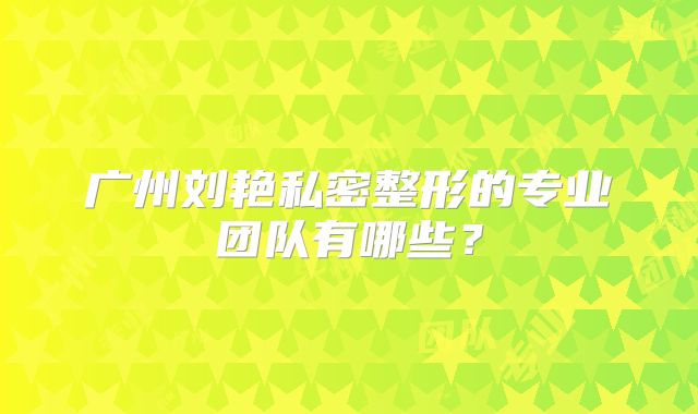 广州刘艳私密整形的专业团队有哪些？