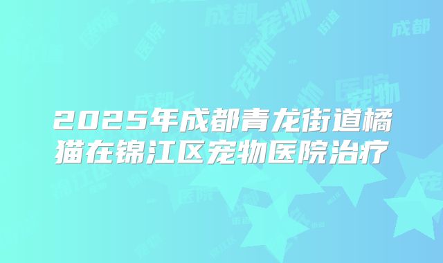 2025年成都青龙街道橘猫在锦江区宠物医院治疗