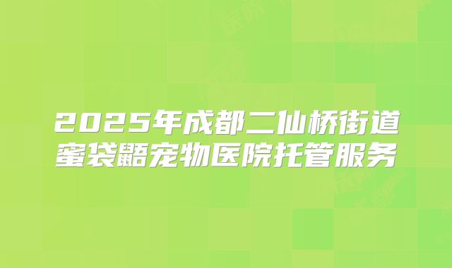 2025年成都二仙桥街道蜜袋鼯宠物医院托管服务