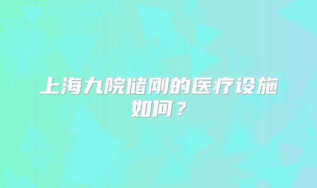 上海九院储刚的医疗设施如何？