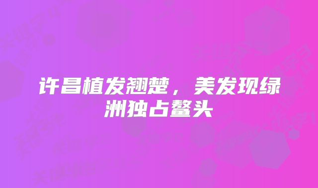 许昌植发翘楚，美发现绿洲独占鳌头