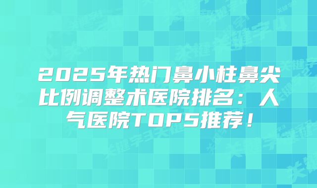 2025年热门鼻小柱鼻尖比例调整术医院排名：人气医院TOP5推荐！