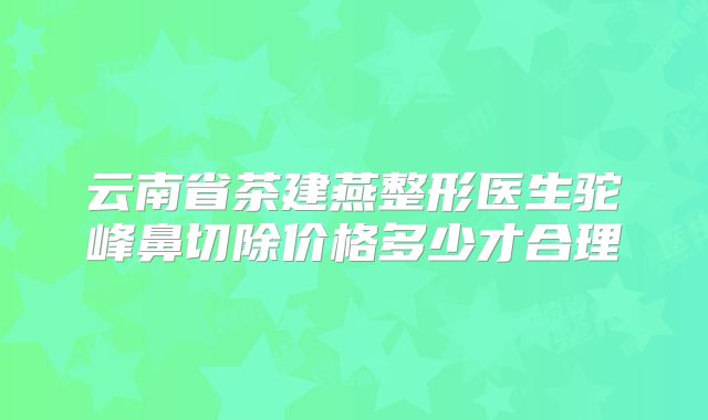云南省茶建燕整形医生驼峰鼻切除价格多少才合理
