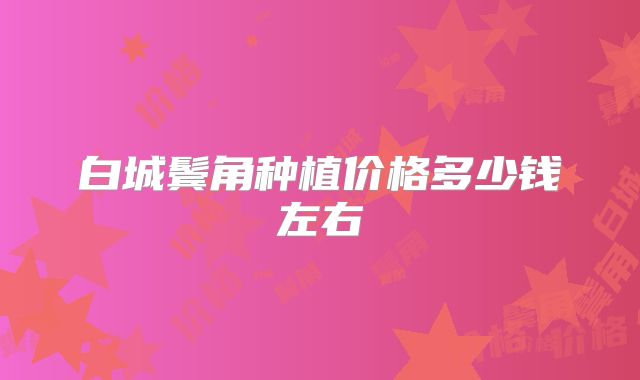 白城鬓角种植价格多少钱左右