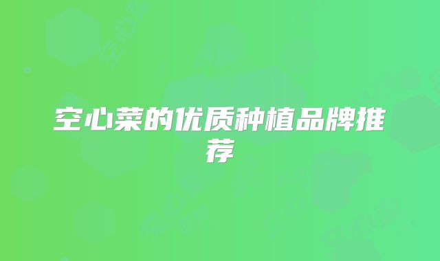 空心菜的优质种植品牌推荐