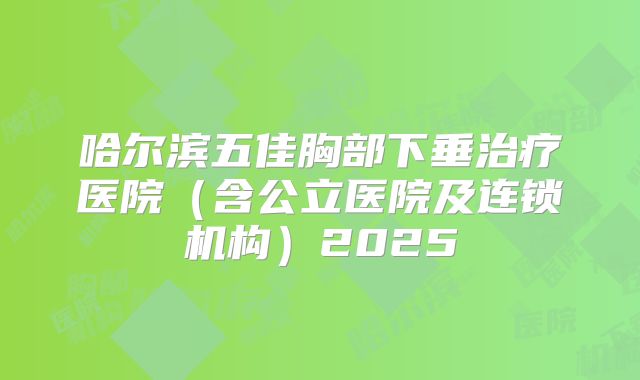哈尔滨五佳胸部下垂治疗医院（含公立医院及连锁机构）2025
