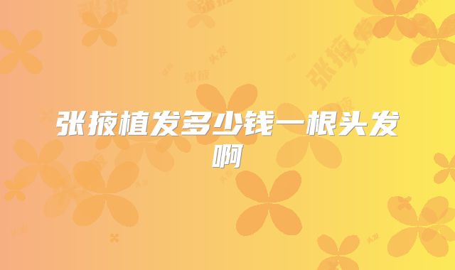 张掖植发多少钱一根头发啊